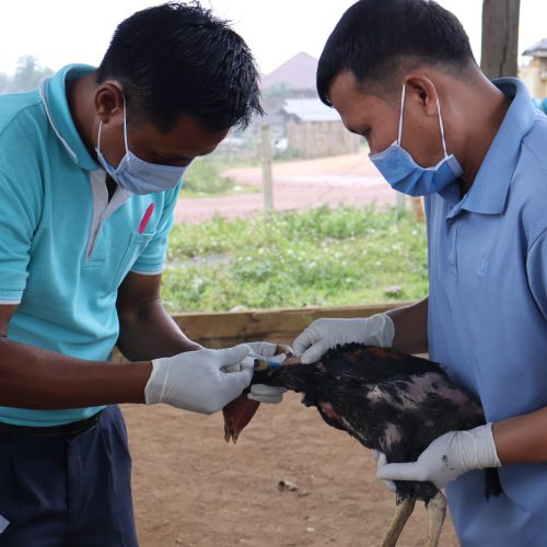 PHOTO-2025-10-15-10-43-20 PHOTO-2025-10-15-10-43-20